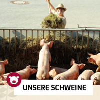Inklusiver sozialer Bauernhof, Schweine füttern