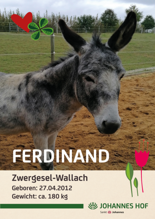Esel Ferdinand
